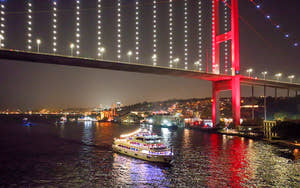 Istanbul Bosporus-middagscruise med tyrkisk aftenforestilling