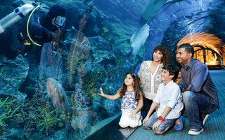 family enjoying a underwater aquarium