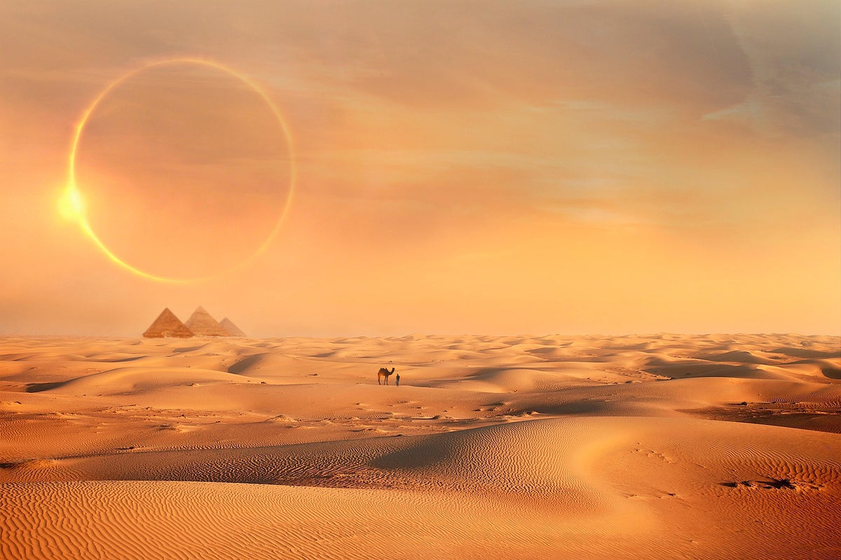 Sunrise Hot-Air Balloon Experience