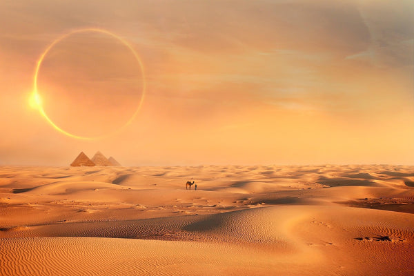 Sunrise Hot-Air Balloon Experience
