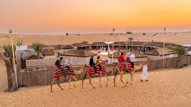 Dubai Desert Safari Red Dune Bashing,  Live shows & BBQ Dinner