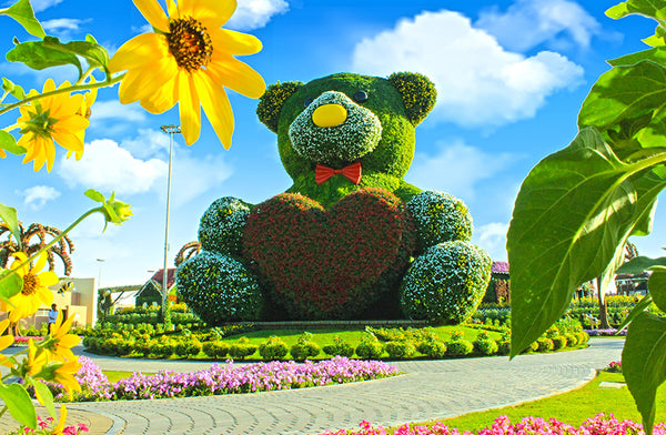 Floral sculpture of a teddy bear holding a heart in the Dubai Miracle Garden. 