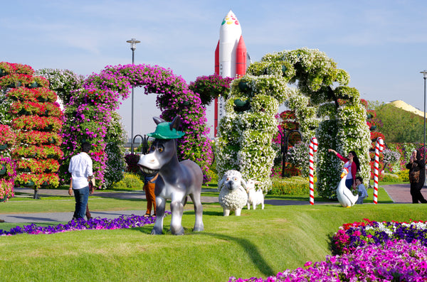 Miracle Garden Dubai