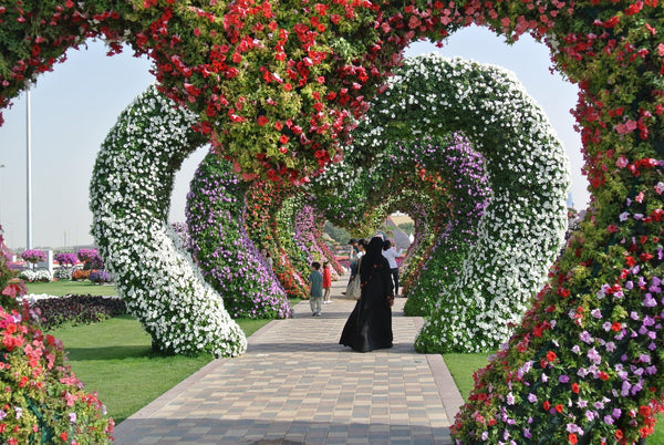 Miracle Garden Dubai