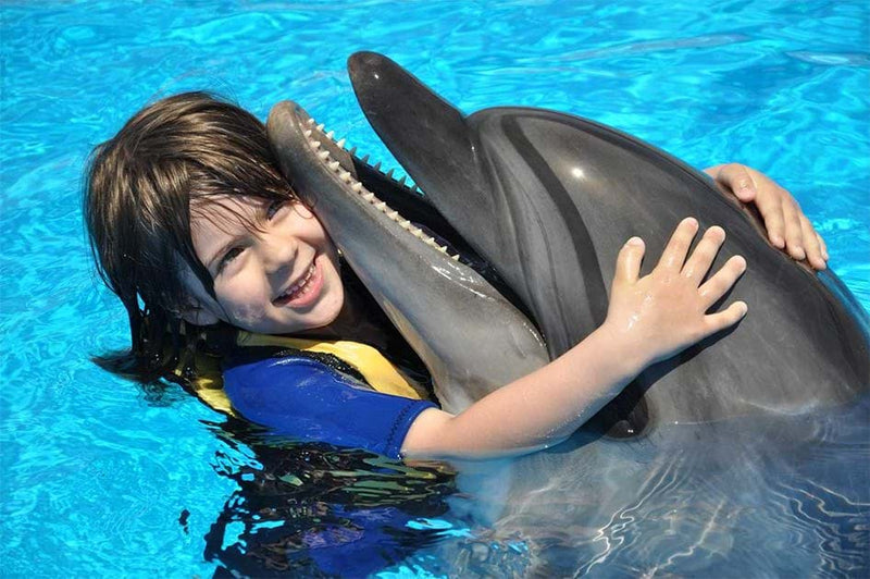 Dolphin & Sea Lions Show with Entrance