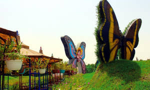Butterfly Garden