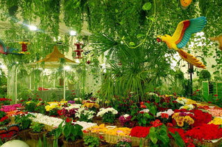 Floral parrot at Dubai Miracle Garden