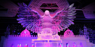 Ice Park section of Dubai Garden Glow,