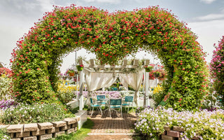 Miracle Garden