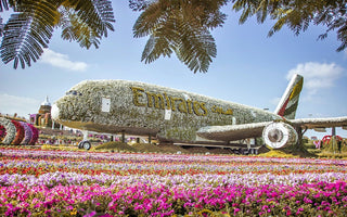  Miracle Garden
