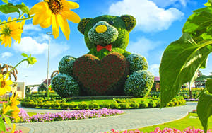Aya Universe med Miracle Garden
