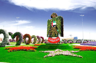 Dubai Miracle Garden, specifically showcasing a floral sculpture representing the emblem of the United Arab Emirates