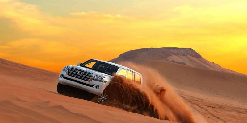 Royal Desert Safari With Dune Bashing