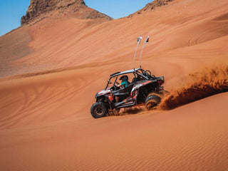 Buggy Safari