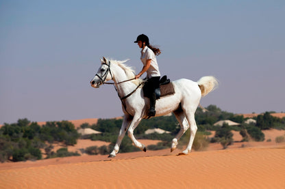 Dubai Sahara Royal Desert Safari with 5-Star Buffet Dinner, Desert Safari, Camel & Horse Riding, Falcon Interaction & Entertainment With Private Car