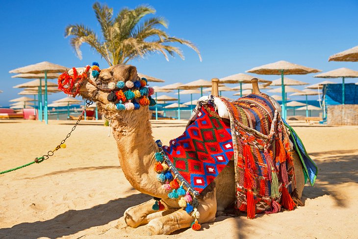 Hurghada City Tour with Private Car