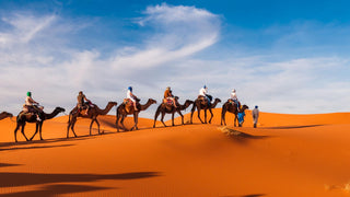 People camel trekking through the desert