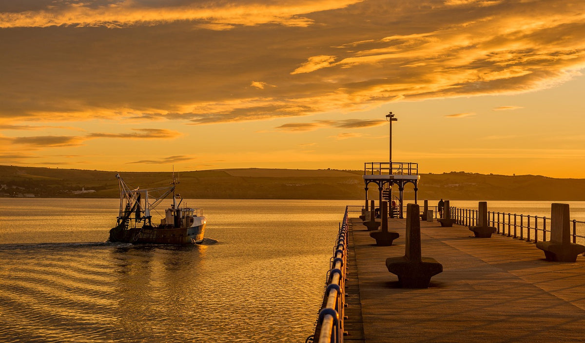 Sunset Dinner Cruise