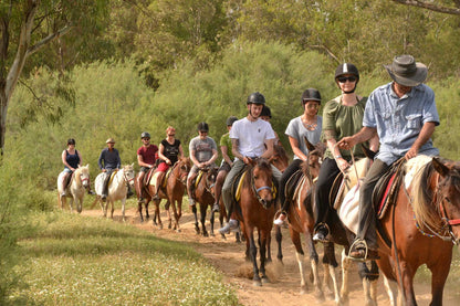 Kemer Horseback Riding Tour with Roundtrip Transfer