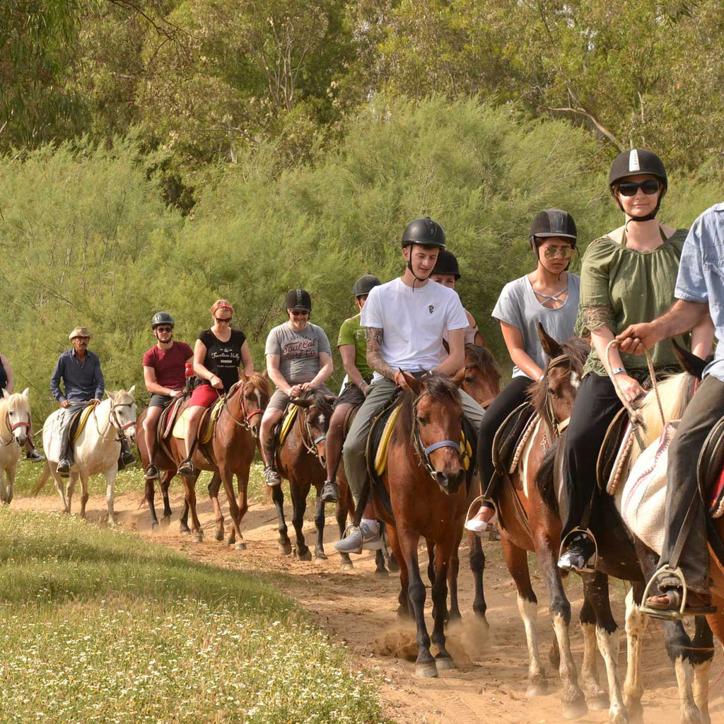 Kemer Horseback Riding Tour with Roundtrip Transfer