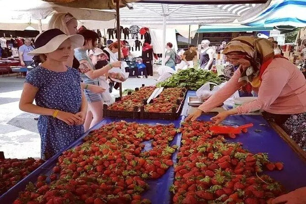 Manavgat River Boat, Bazaar & Waterfall Tour with Lunch & Transfer from Side
