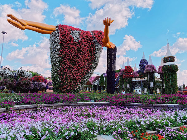 Dubai Miracle Garden, a prominent tourist attraction