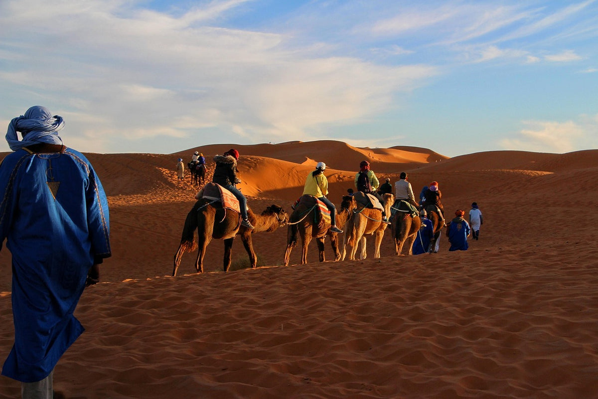 Wahiba Sands Desert Experience