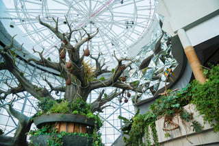 Dubai Green Planet-billet – Tripventura