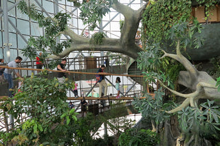 People inside The Green Planet Dubai