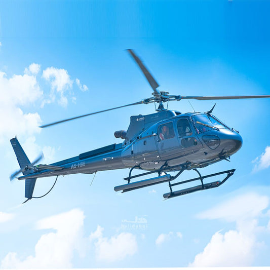 17-Mins Palm Helicopter Tour Dubai