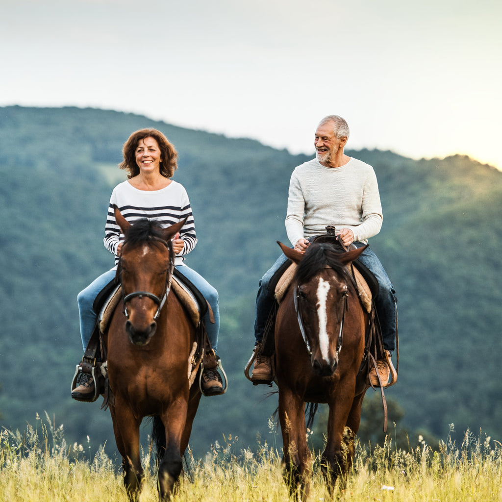 Kemer Horseback Riding Tour with Roundtrip Transfer