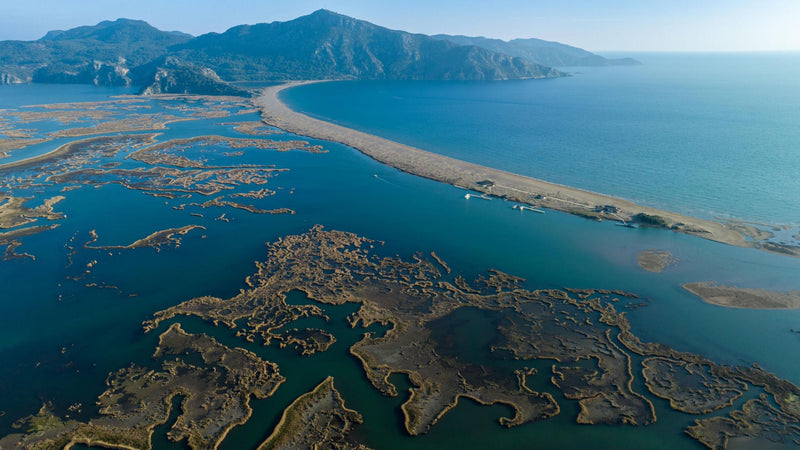 Fethiye Dalyan Cruise, Turtle Beach & Mud Baths