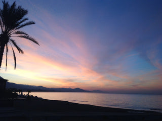 Sunset View