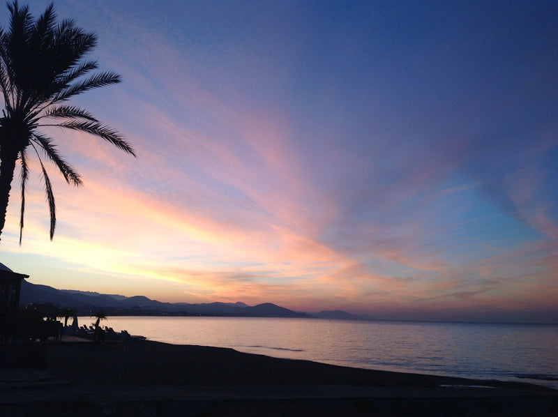 Sunset View