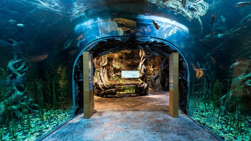 Green Planet Дубай