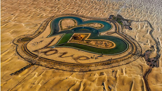 Dubai Private Half Day Tour in Al Quadra Lake with Driver Cum Guide