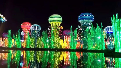 Dubai Glow Garden Admission Ticket