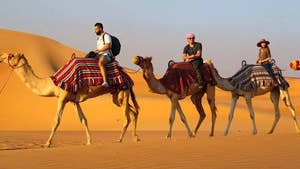 People camel trekking through the desert