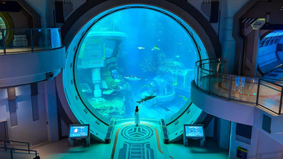  Interior of SeaWorld Abu Dhabi