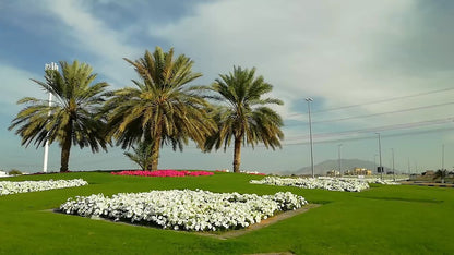 Al Ain City Guided Tour From Dubai