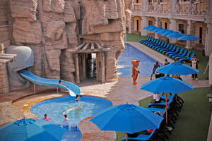 Emirates Park Zoo Pool Area