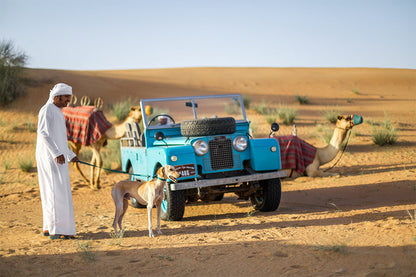 Dubai Heritage Safari in Vintage Land Rover With Sunset Falcon show, Camel Ride,4-Course Arabic Dinner & Shisha