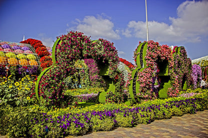 Dubai Combo: Global Village with Miracle Garden Tickets - Tripventura