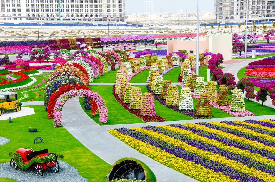 Dubai Combo: Global Village with Miracle Garden Tickets - Tripventura