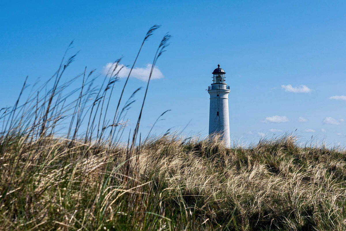 Nizwa Fort and Traditional Souq