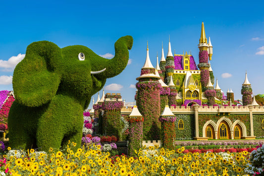 Elephent in Miracle Garden 