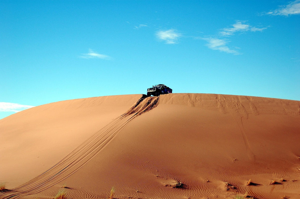 Off-Road Buggy Safari Through Pine Forests
