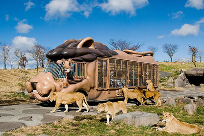 Dubai Safari Parkı Biletleri