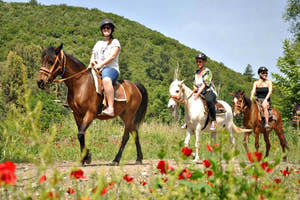 Kusadasi Horse Riding with Guide