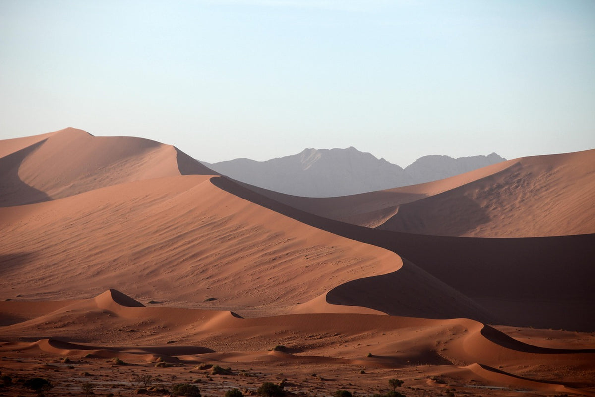 Quad Bike Desert Adventure